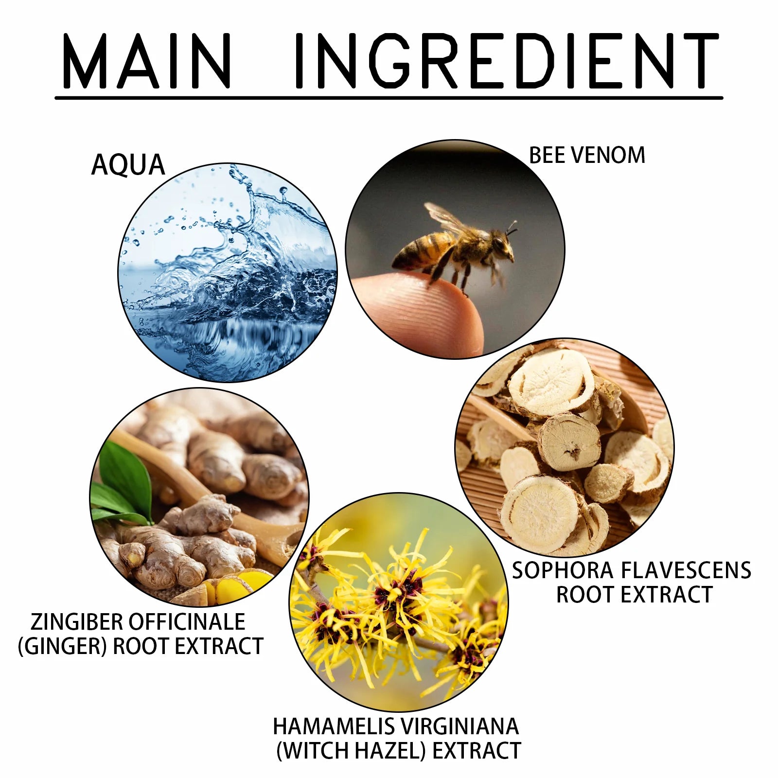 Key ingredients of Ximonth Joint Muscle Cream including Bee Venom, Sophora Flavescens Root Extract, and Witch Hazel