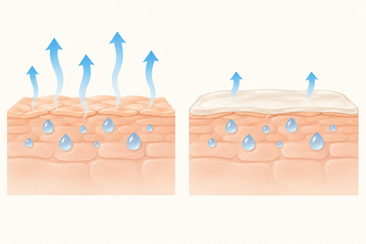 Schematic comparing evaporation from a skin surface with reduced evaporation beneath a thin surface film