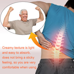 Bee venom arnica joint care cream easing lumbar muscle discomfort