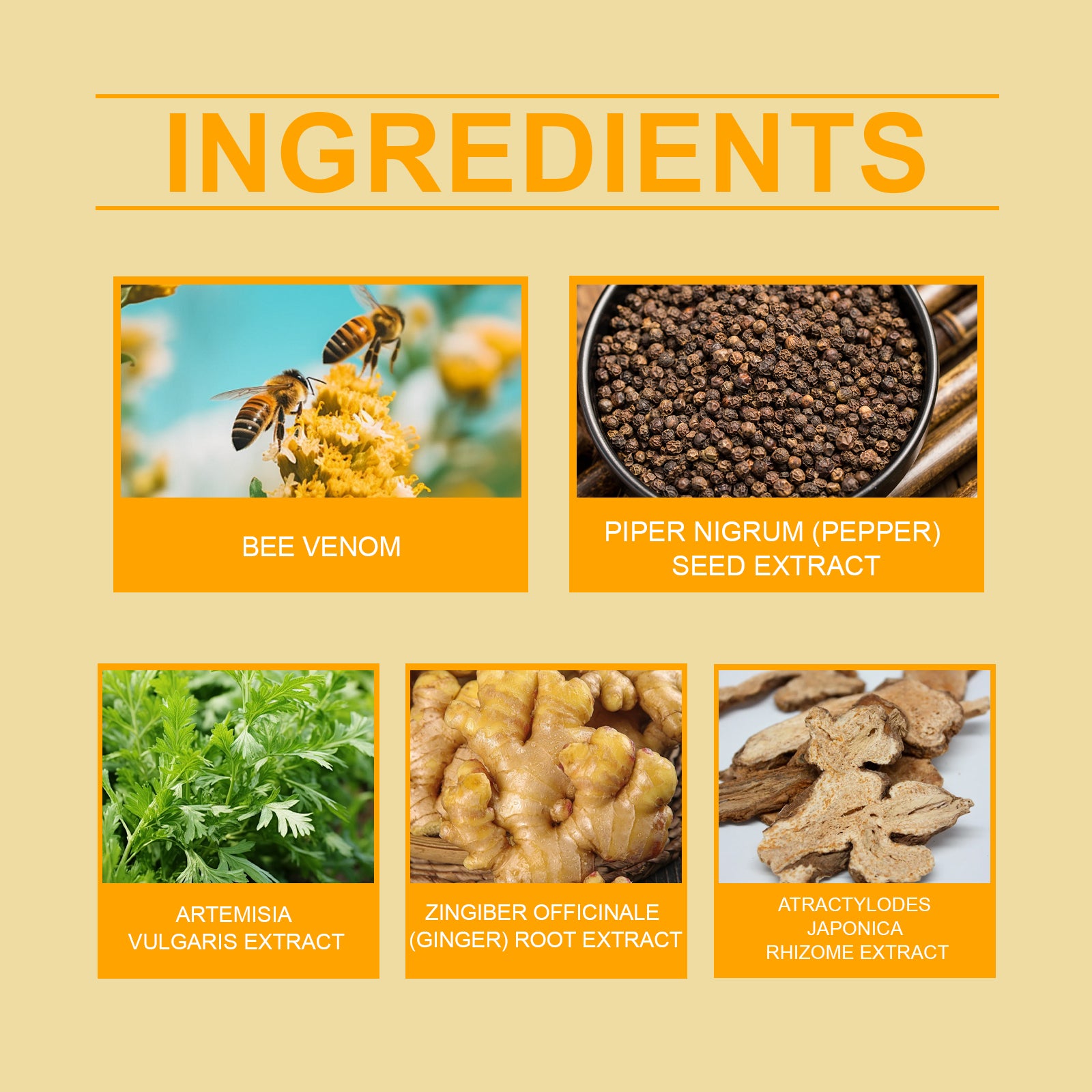 Bee venom patch packaging and ingredients