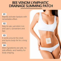 Body care patch with ginger extract