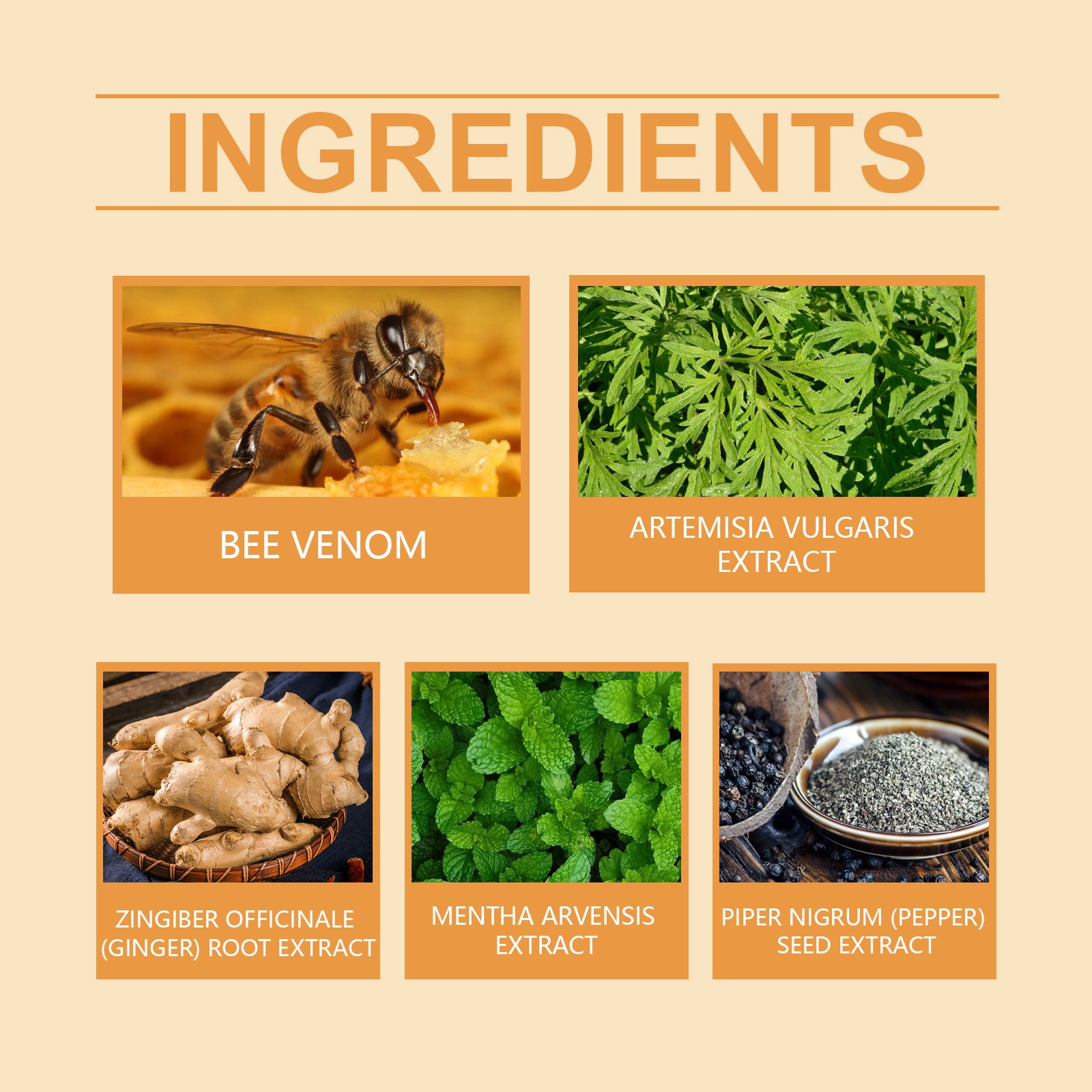 Ingredient panel for XIMONTHS Bee Venom Body Firming Cream for Massage Care, showing bee venom, mugwort, ginger, field mint and black pepper