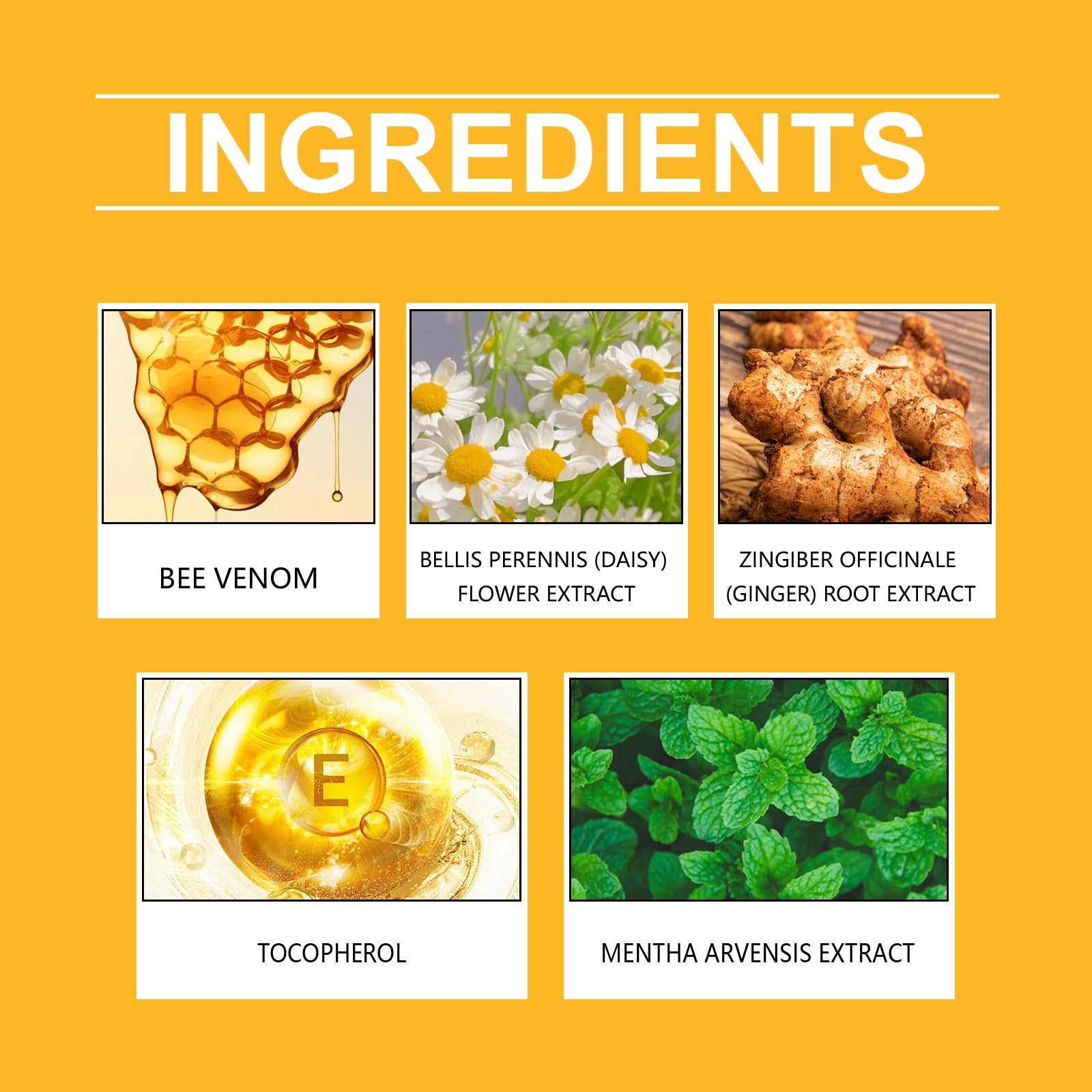Ingredient panel for XIMONTHS Bee Venom Tummy Sculpting Cream for Body Care, showing daisy, ginger, bee venom, vitamin E and field mint