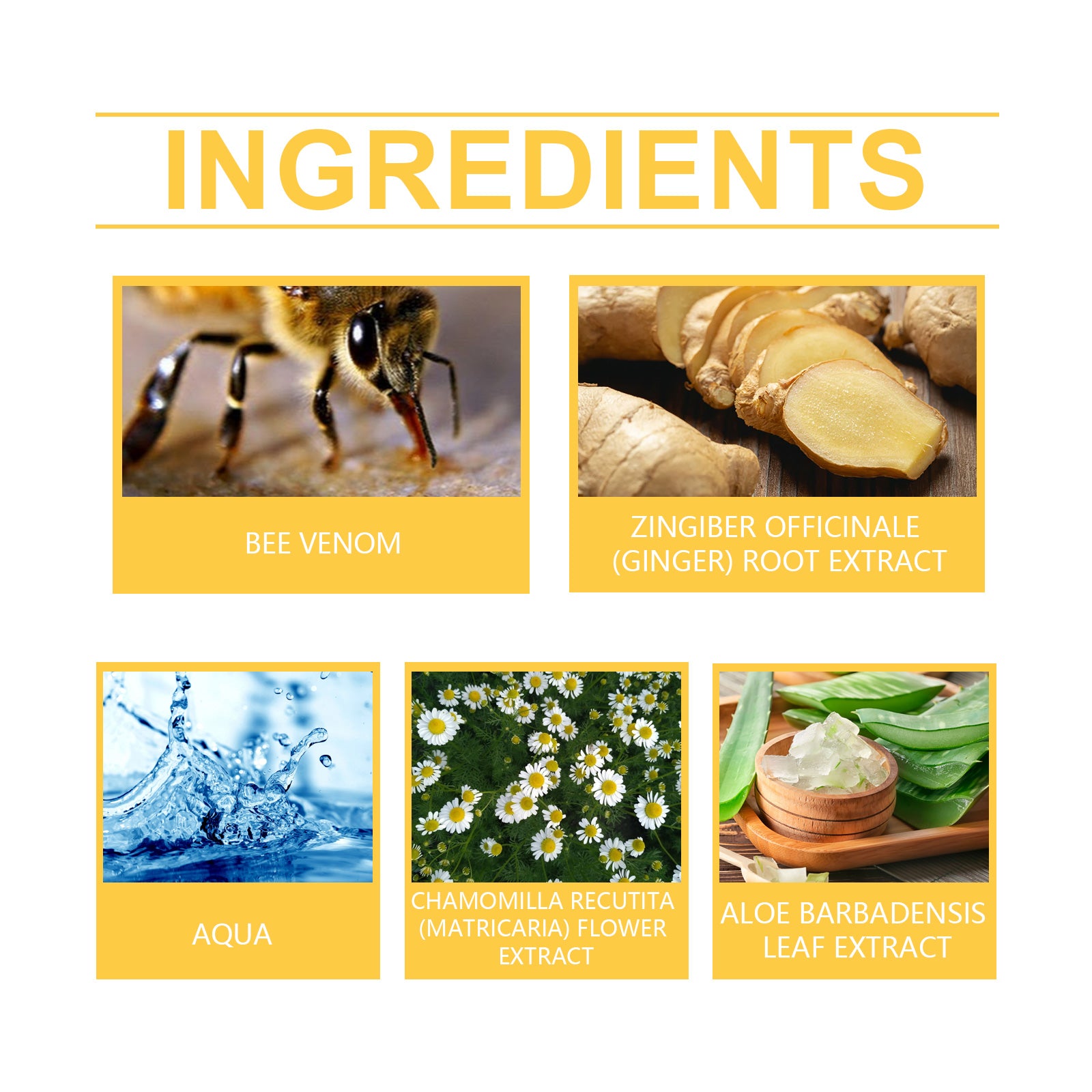 Ingredient panel for XIMONTHS Bee Venom Neck & Shoulder Care Cream, showing bee venom, ginger, chamomile and aloe