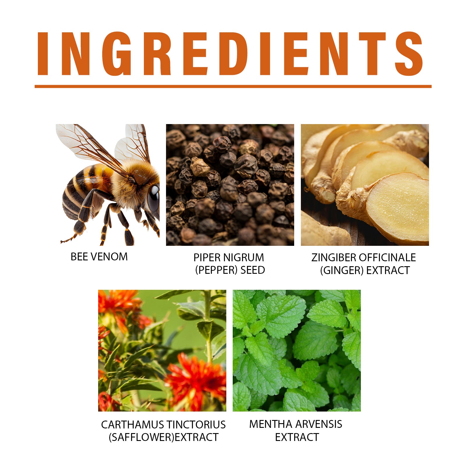 Nasal inhaler ingredient panel: black pepper seed, ginger, mint, safflower and bee venom