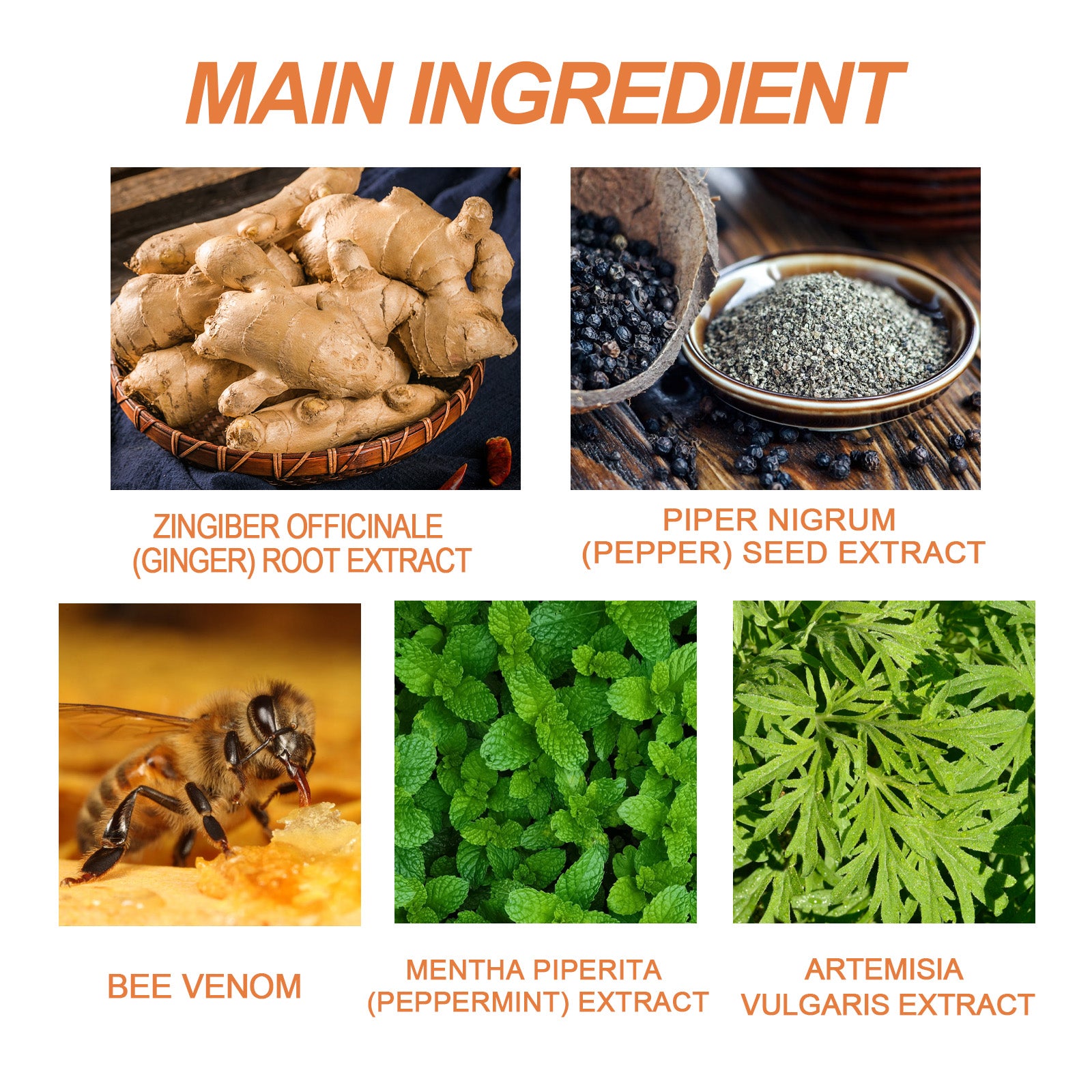 Bee venom body patch packaging