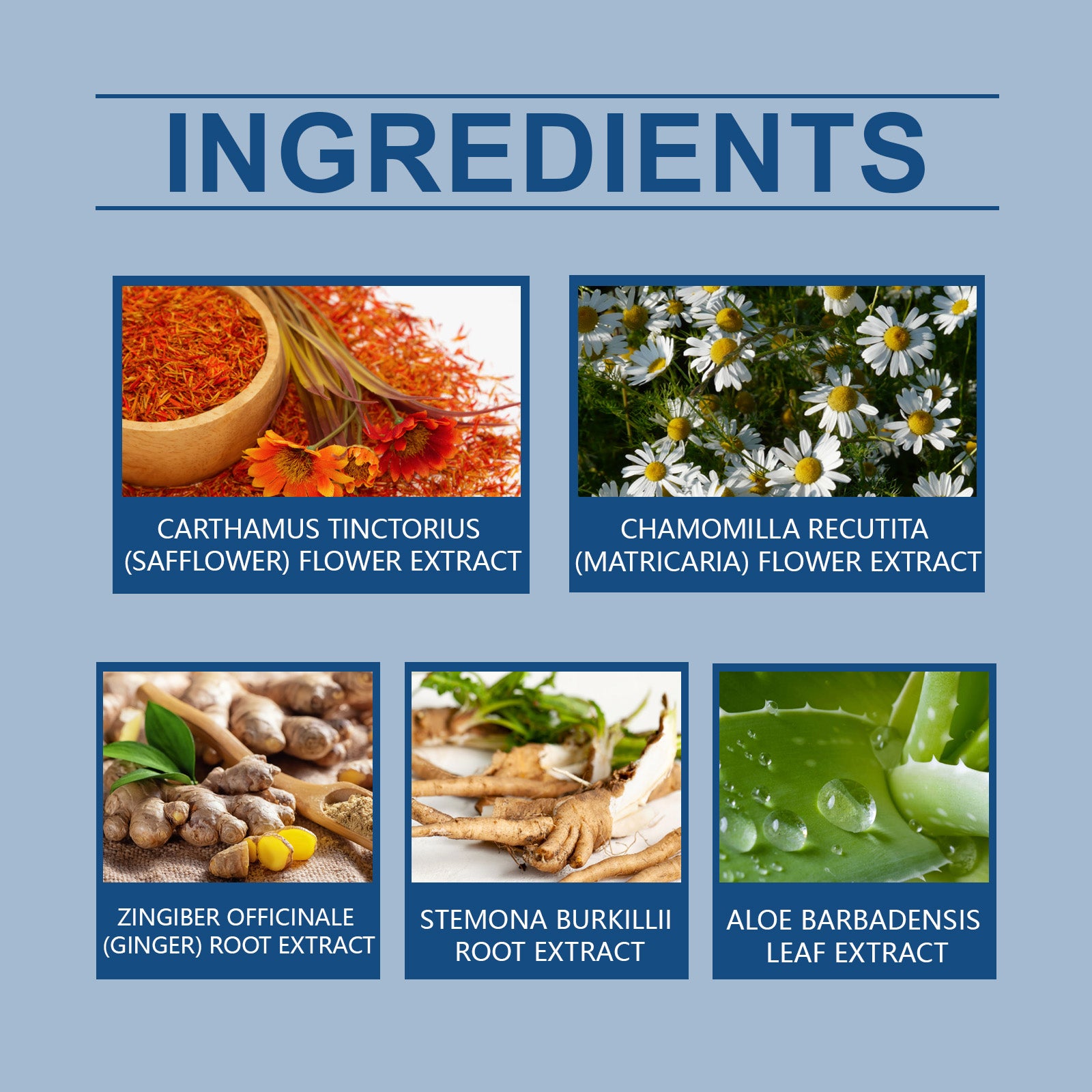 Ingredient panel for XIMONTHS Wart Care Patch for Targeted Skin Care, showing safflower, chamomile, ginger, Stemona and aloe