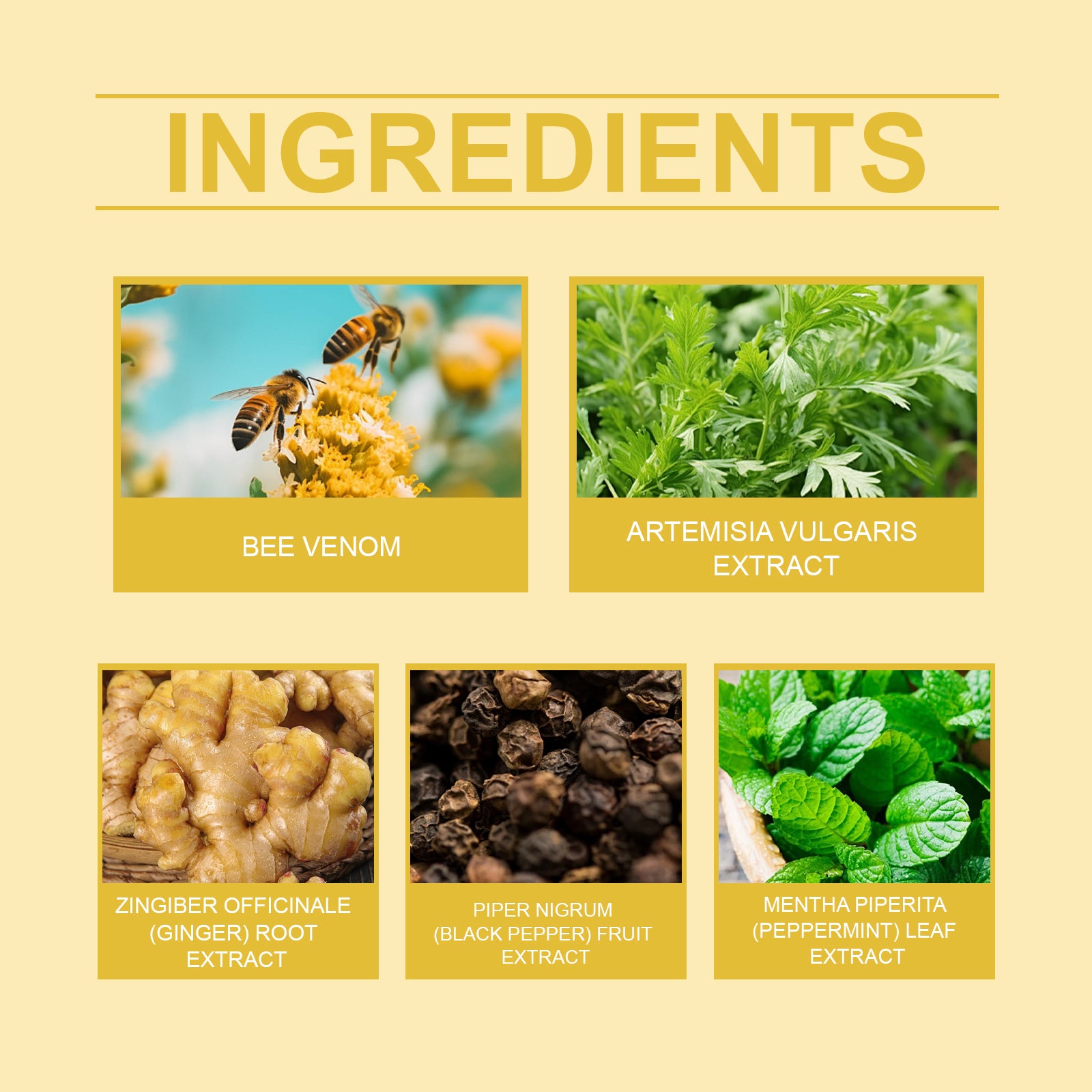Ingredient panel for XIMONTHS Bee Venom Body Care Patch for Firming Skin, showing bee venom, mugwort, ginger, black pepper and peppermint