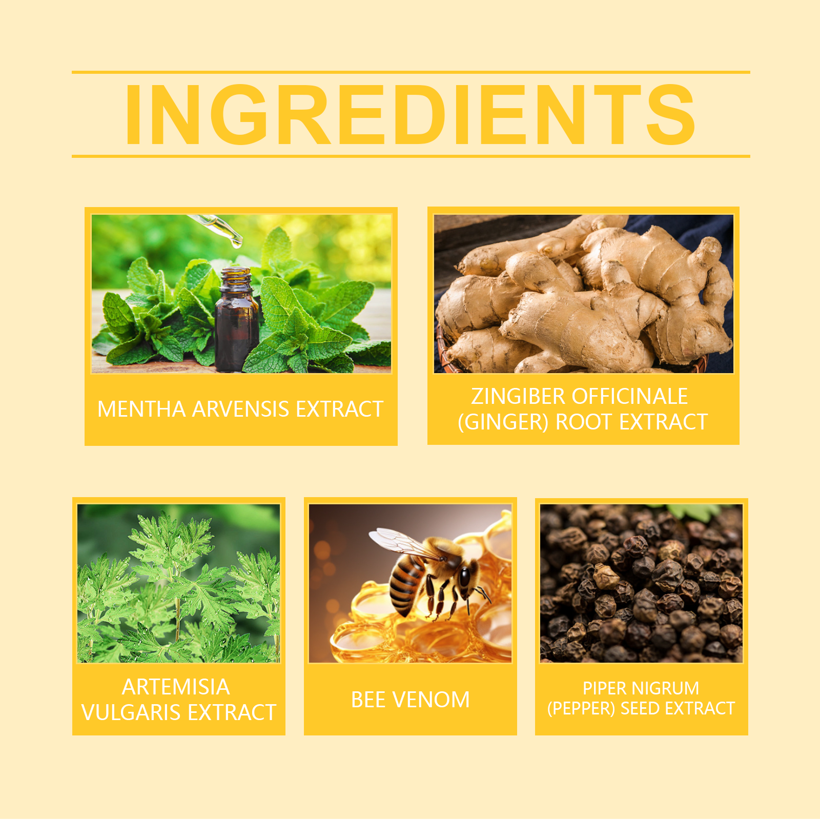 Ingredient panel for XIMONTHS Bee Venom Body Shaping Oil for Skin Conditioning, showing field mint, ginger, mugwort, bee venom and black pepper